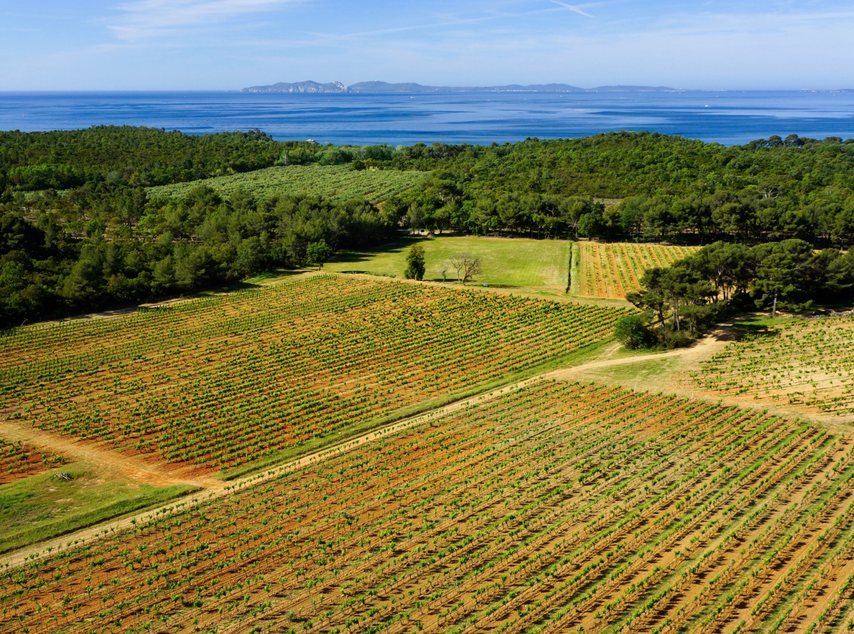 DOMAINE DE LA SANGLIÉRE