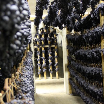 TERRE DI SERRAPETRONA