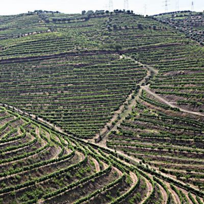 QUINTA DE SANTA EUFEMIA